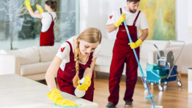 The Advantages of Using a Professional Carpet Cleaning Company for Allergy Relief