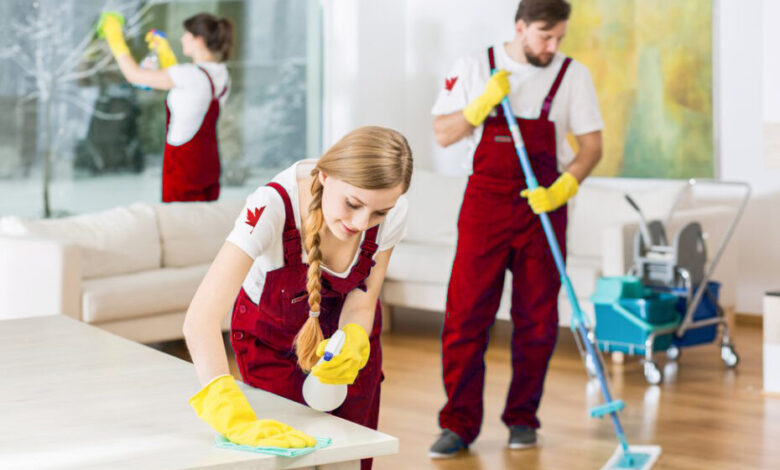 The Advantages of Using a Professional Carpet Cleaning Company for Allergy Relief