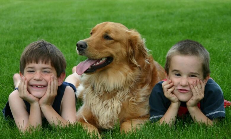 boys and a dog homemaking homeschooling tips for busy folks